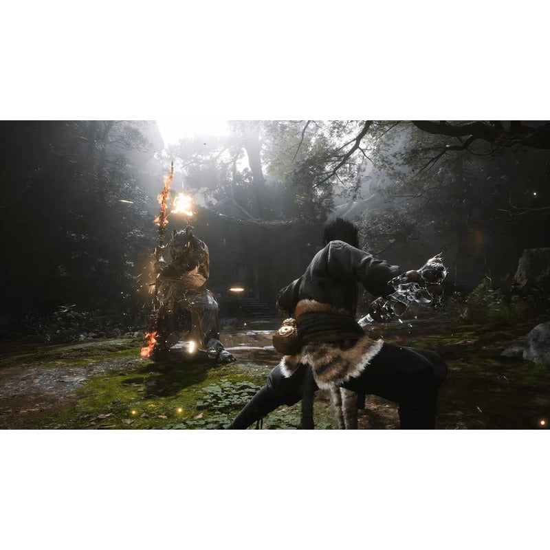 Black Myth: Wukong Ps5 Físico