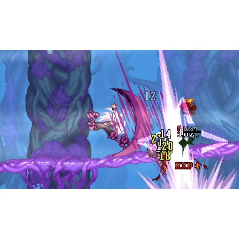 Dragón Marked For Death Nintendo Switch