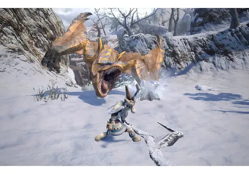 Nintendo Monster Hunter Rise Standard Edition