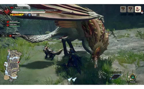 Nintendo Monster Hunter Rise Standard Edition