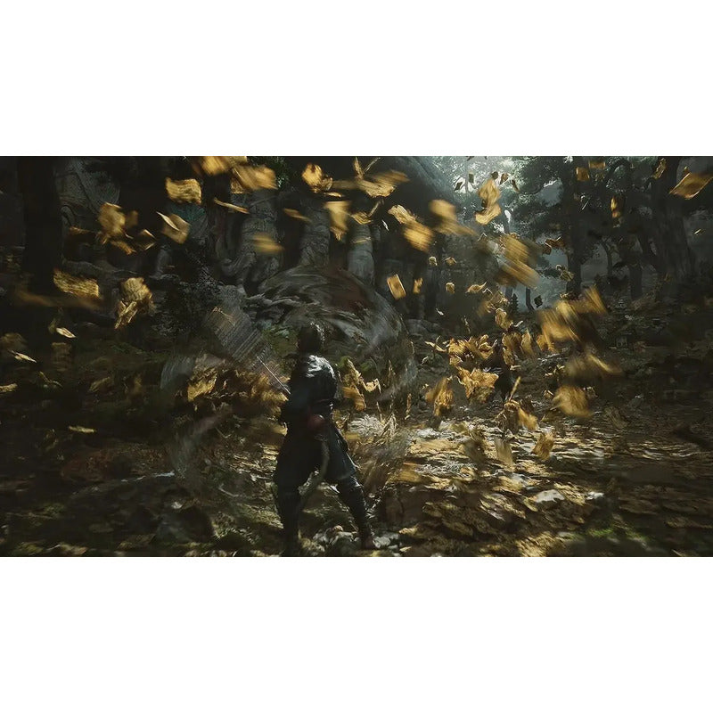 Black Myth: Wukong Ps5 Físico