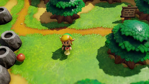 The Legend of Zelda Zelda The Legend of Zelda: Link's Awakening Standard Edition