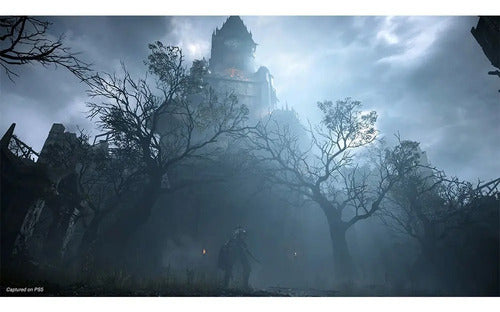 Sony Souls Demon's Souls Remake Standard Edition