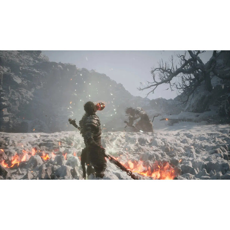 Black Myth: Wukong Ps5 Físico